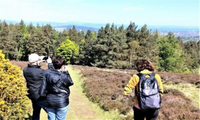 Hill & Nature Hike With a Local