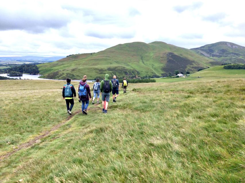 Edinburgh: Hill & Nature Hike With a Local - Wildlife Chances and Scottish Weather Reality: rain, wind, and hairy coos