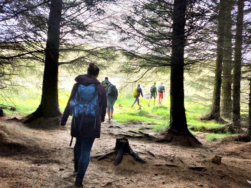 Edinburgh: Hill & Nature Hike With a Local - Timing and the tricky part: finishing at a different location