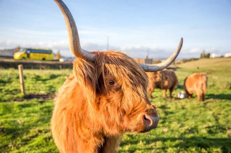 Edinburgh: Isle of Skye, Inverness, and Highlands 3-Day Tour - Day 6: Loch Ness, monster spotting, and the Urquhart Castle option