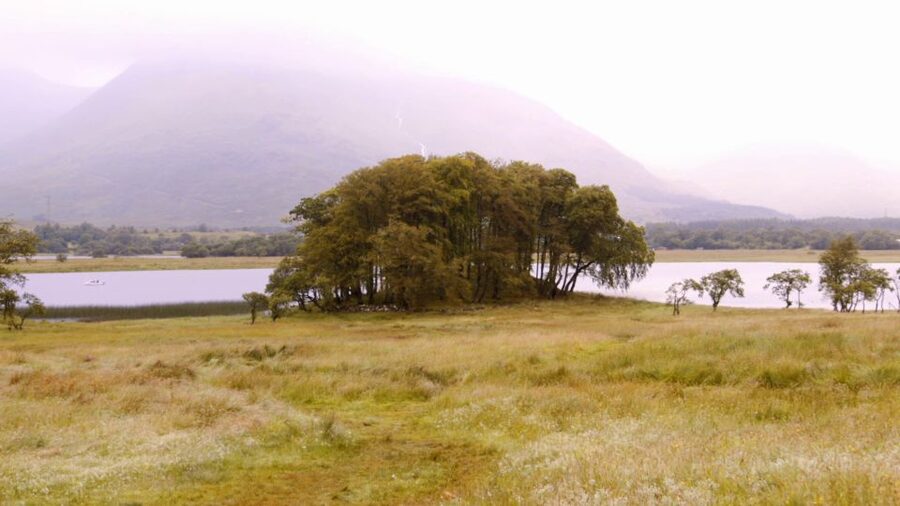 Edinburgh: Oban, Kilchurn Castle & Inveraray Tour in Spanish - Inveraray on Loch Fyne: William Adam architecture and the Duke of Argyll