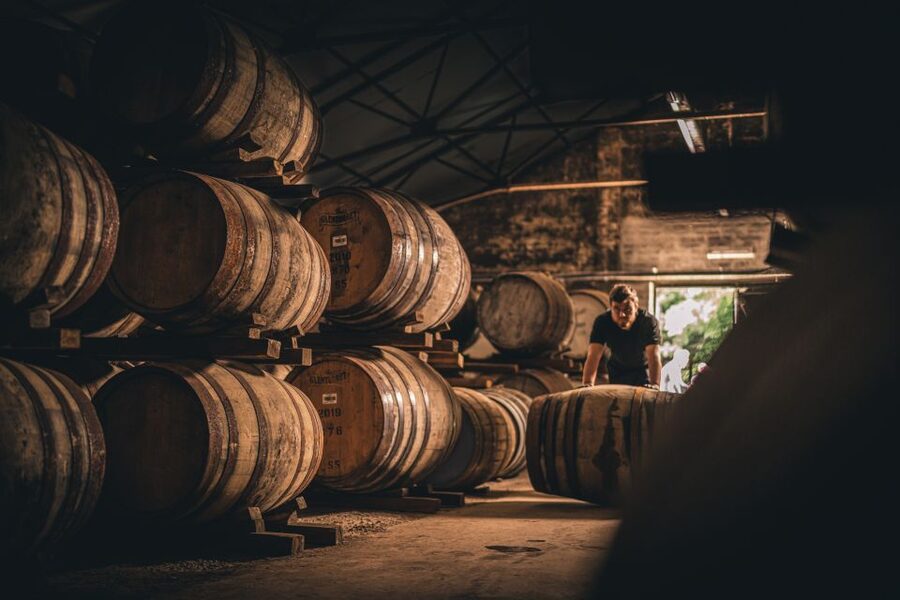 Edinburgh: Ultimate Whisky Experience - Should you book this Edinburgh Ultimate Whisky Experience?