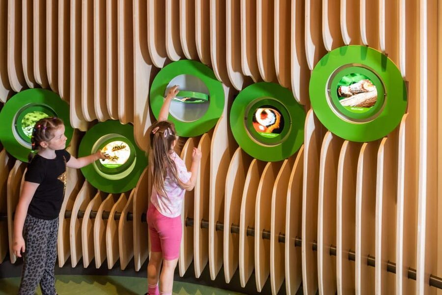 Eureka! Science + Discovery Centre Day Ticket - Should you book Eureka! Science + Discovery?