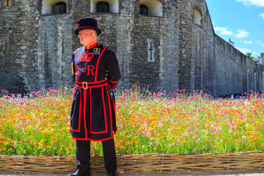 Exclusive Beefeater Meet & Greet at the Tower of London - The restricted-area meet-and-greet outside the King’s House