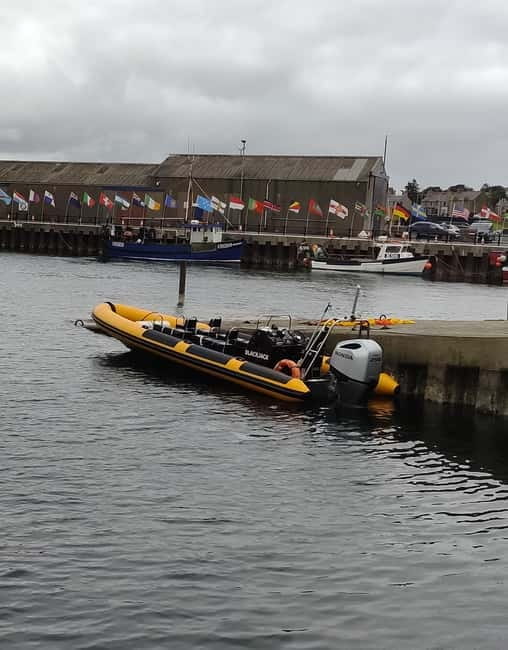 Fort William: 1hr Loch Safari Speedboat Tour - Price and value: is $47 for an hour worth it?