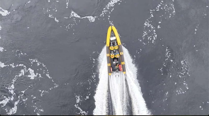 Fort William: 1hr Loch Safari Speedboat Tour - Who this tour fits best