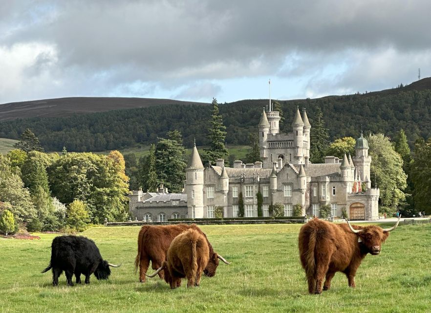 From Aberdeen: Balmoral Estate & Royal Deeside Tour - Why Royal Deeside Feels Perfect for a 7.5-Hour Day