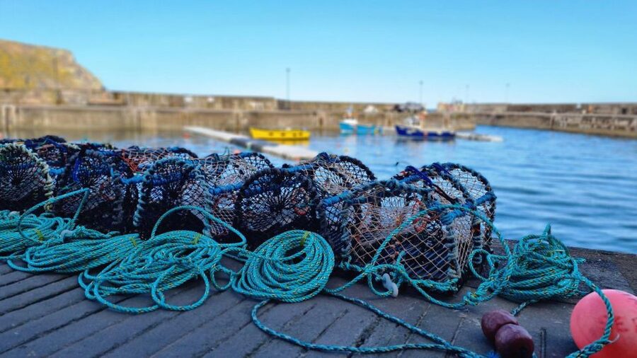 From Aberdeen: Coastal Villages of Aberdeenshire Tour - Bullers of Buchan cliffs: seabird nesting, collapsed sea cave views, and the puffin hunt