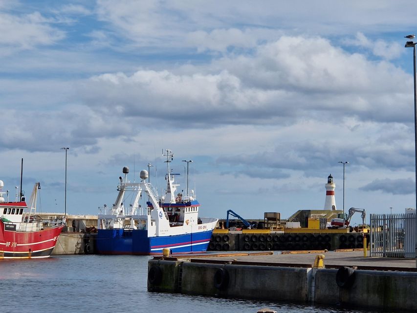 From Aberdeen: Coastal Villages of Aberdeenshire Tour - Cruden Bay and Newburgh Seal Beach: seals at the River Ythan mouth and birdlife spotting