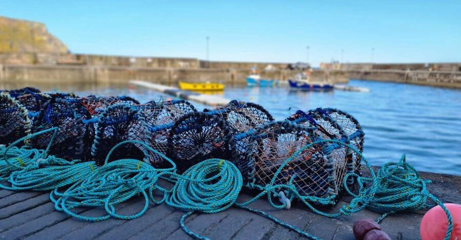 From Aberdeen: Coastal Villages of Aberdeenshire Tour - From Aberdeen’s Rosemount Viaduct to Gardenstown and Crovie’s cliff-edge charm