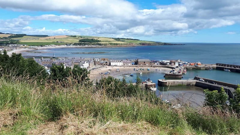 From Aberdeen: Guided Day Trip, Coast & Castle Visit - Key highlights worth your attention