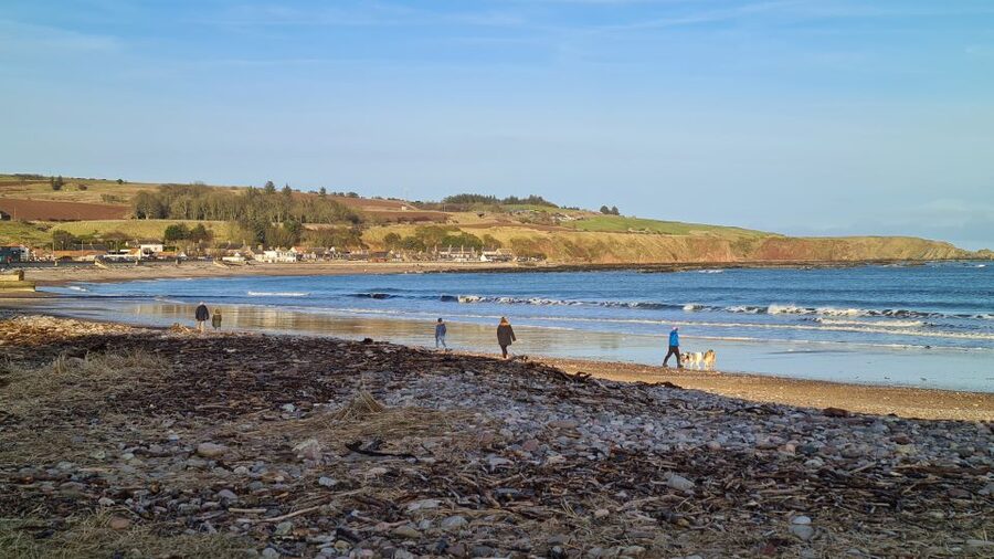 From Aberdeen: Guided Day Trip, Coast & Castle Visit - Price and value: what $134 covers and what you’ll likely pay extra