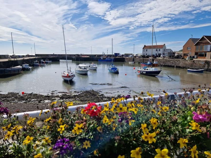 From Aberdeen: Guided Day Trip, Coast & Castle Visit - Falls of Feugh: quick nature, easy viewing, seasonal drama