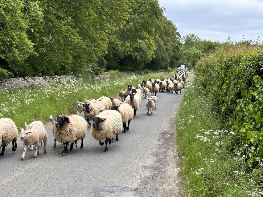 From Bath: Cotswolds Private Day Tour with Pickup - Tetbury Shopping and Sightseeing, Without Overthinking It