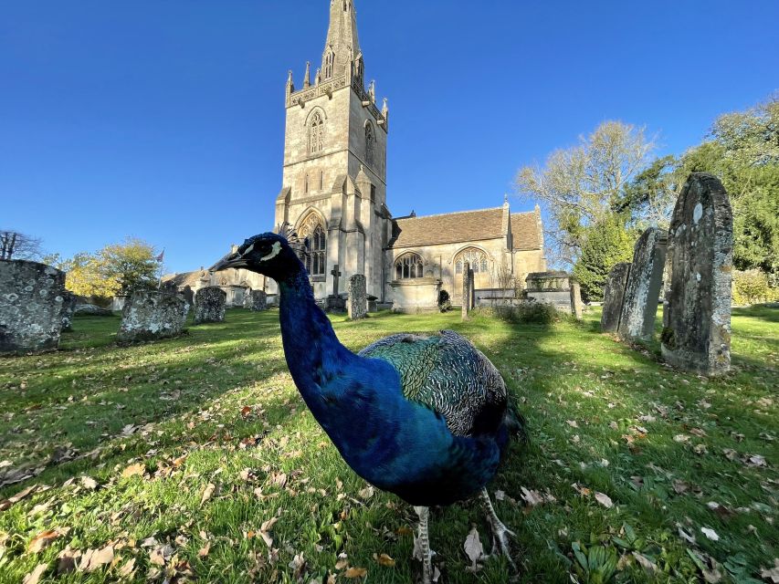 From Bath: Private Tour to Serene Cotswolds with Pickup - Lacock Abbey and a conservation village where cars feel unusual