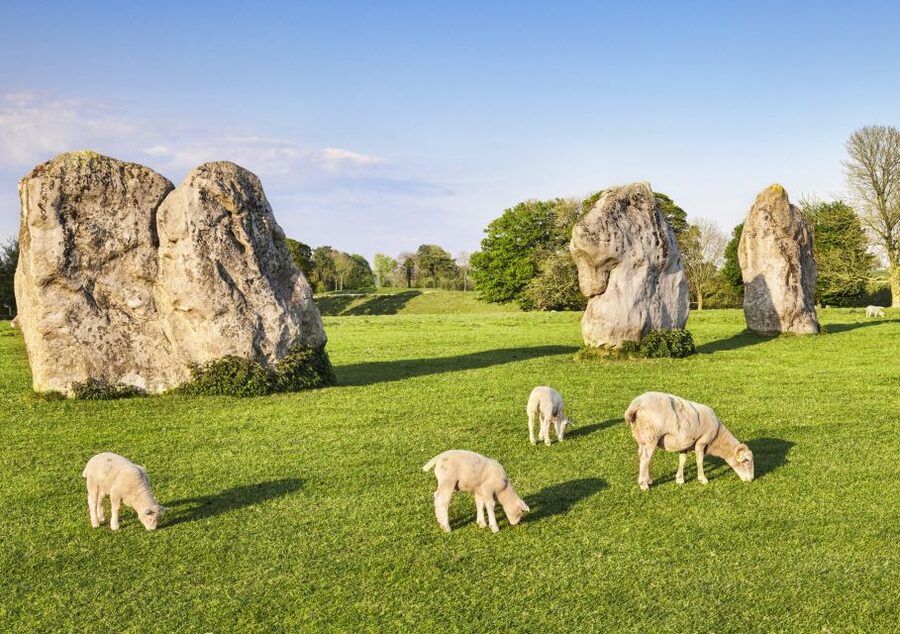 From Bath: Stonehenge & the Cotswolds Day Tour with Entry - Stonehenge entry: seeing the stones and the visitor area