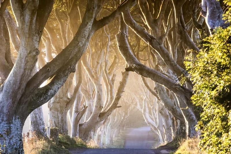 From Belfast: Giant's Causeway & Titanic Experience Belfast - From Belfast to the Coast: how the day actually flows