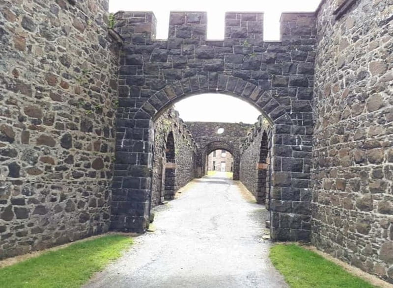 From Belfast: Giants Causeway Full-Day Private Guided Tour - The guide matters: what the best reviews emphasize
