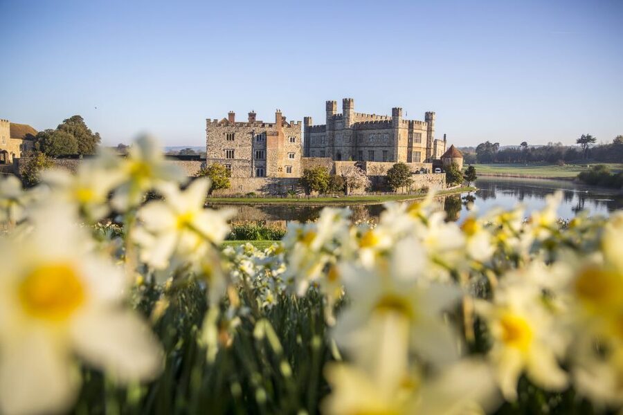 From Brighton: Leeds Castle & Canterbury Full-Day Trip - Leeds Castle: the Henry VIII connection and why the gardens matter