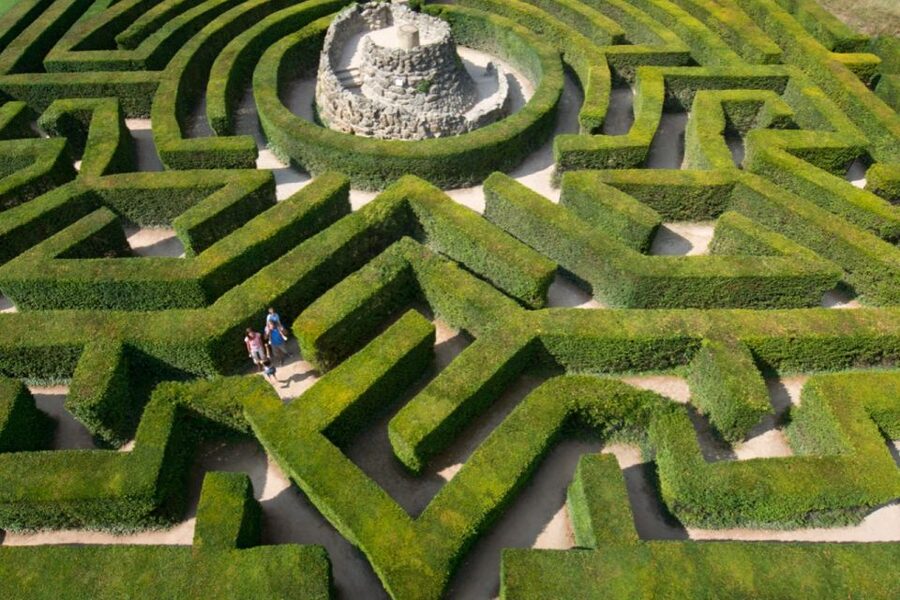 From Brighton: Leeds Castle & Canterbury Full-Day Trip - Free time strategy in Canterbury so you do not feel rushed