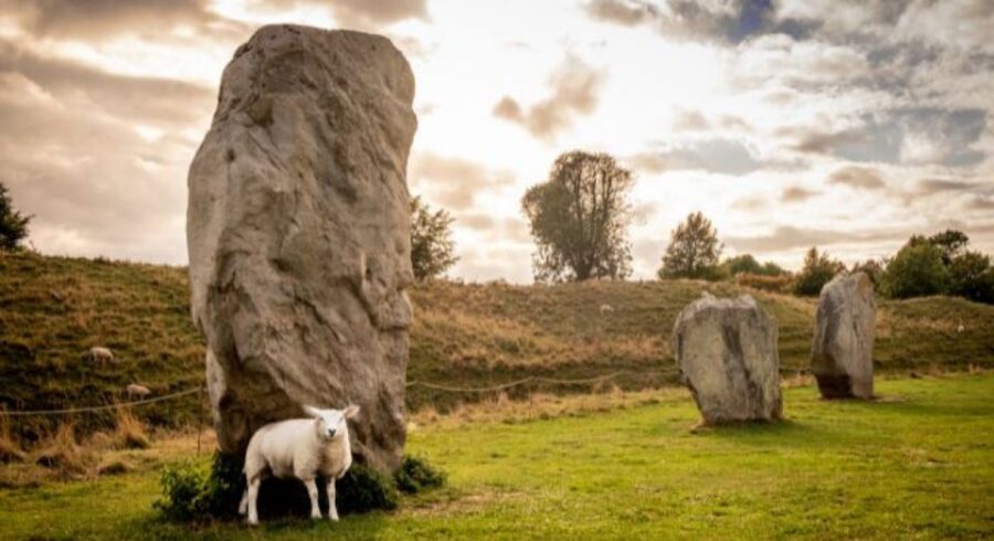 From Bristol: Stonehenge and Cotswold Villages Day Tour - Who this tour suits best