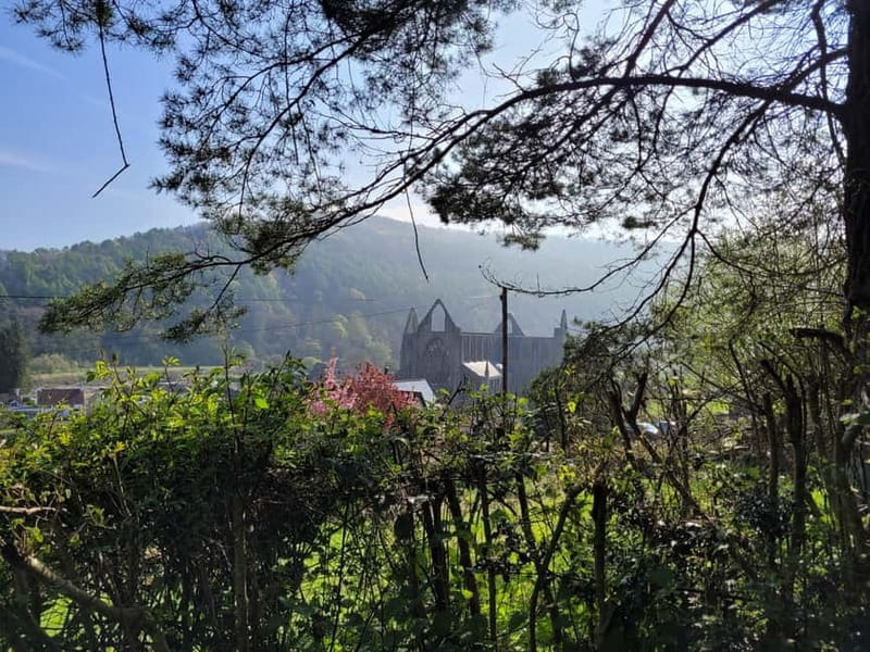 From Cardiff: Guided Tour of Welsh Valleys - Tintern Abbey on the River Wye: Roofless Ruins That Still Feel Alive