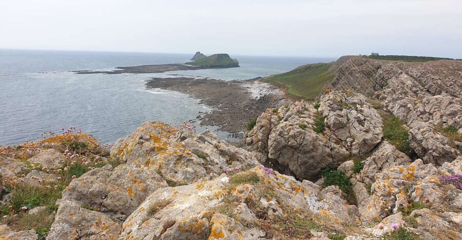 From Cardiff: Mumbles and Gower Peninsular Tour - Key points before you go