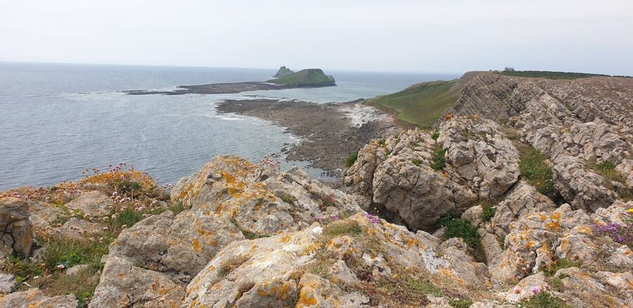 From Cardiff: Mumbles and Gower Peninsular Tour - The guide, Ricky and the storytelling approach that makes stops memorable