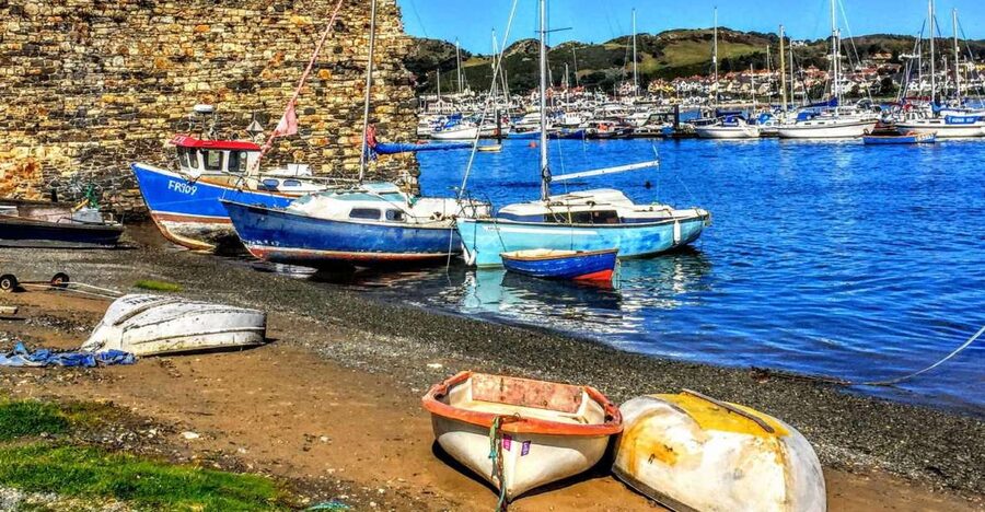 From Chester: Full-Day Guided North Wales Sightseeing Tour - Lunch, food choices, and how to plan your day