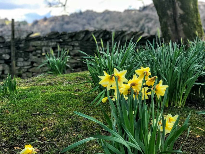 From Chester: Lake District Full-Day Guided Sightseeing Tour - Bowness on Windermere: first lake views, then the boat option