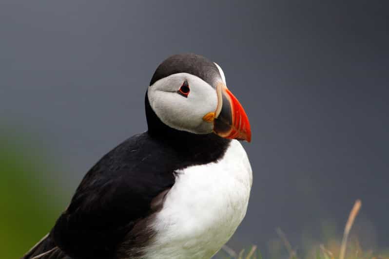 From Edinburgh: 4-Day Mull, Iona, Staffa & Puffin Isles tour - Day 1: Loch Lomond, Inveraray, Oban, and Tobermory Base Camp
