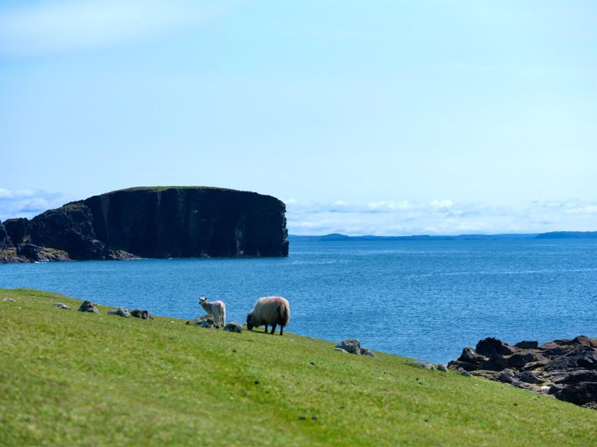 From Edinburgh: 6-Day Shetland & Nothernmost Explorer - Lerwick: knitting roots, a seal-friendly beach, and the lighthouse stop