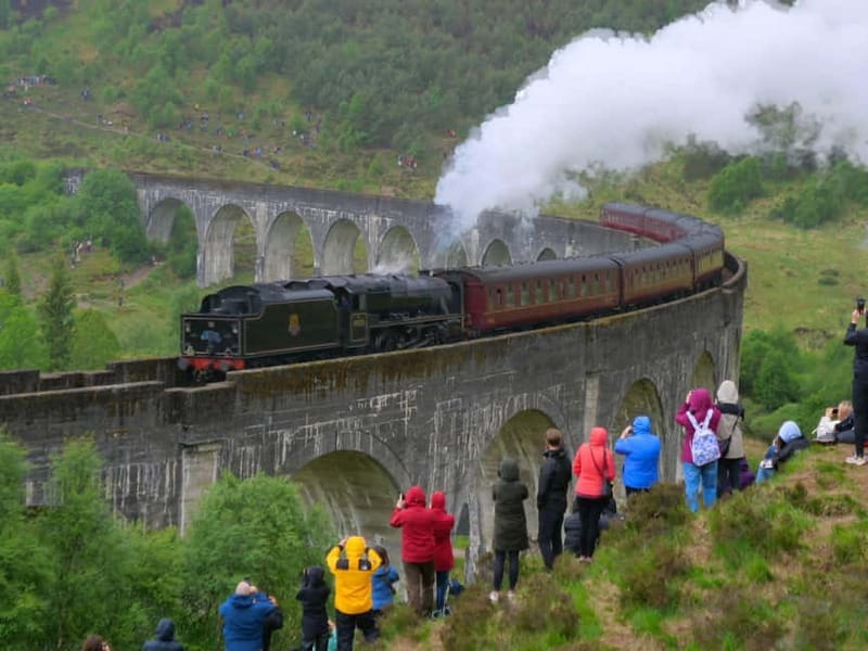 From Edinburgh: Glenfinnan, Fort William and Highland Cows - Cairngorms Drive-Through, Plus the Wildlife-Viewing Break