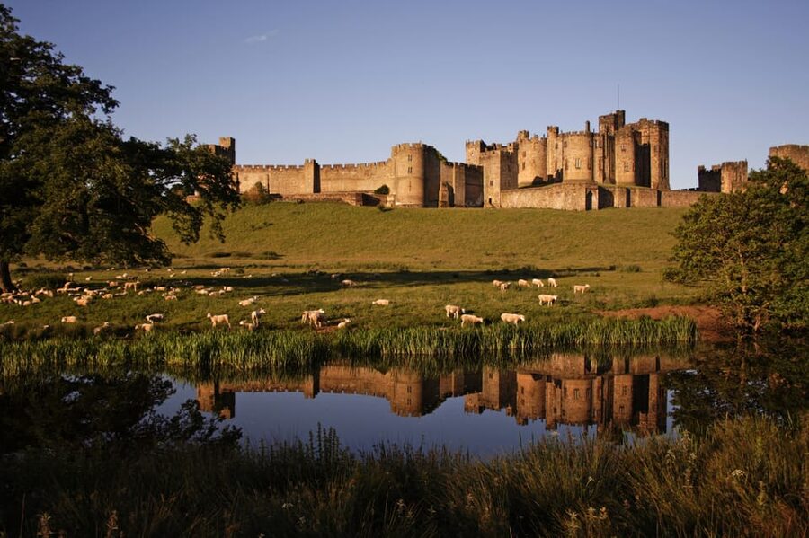 From Edinburgh: Holy Island, Alnwick Castle & Northumbria - Holy Island of Lindisfarne: Tides, Causeways, and Calm Walks