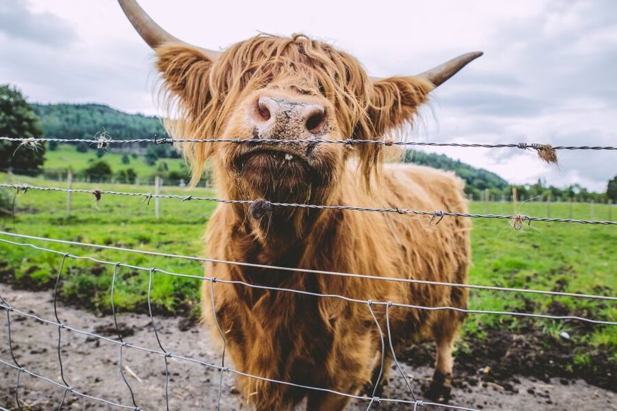 From Edinburgh: Isle of Skye and Outer Hebrides 6-Day Tour - Price and value: what $1,626 actually buys you