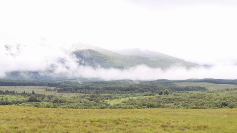 From Edinburgh: Loch Ness and Highlands Tour in Spanish - Key highlights and what they mean for your day