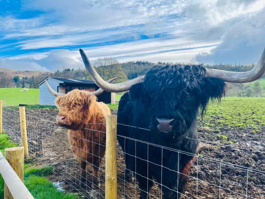 From Edinburgh: Loch Ness, Glencoe & The Highlands Day Trip - A Highlands highlights day that still gives you breathing room