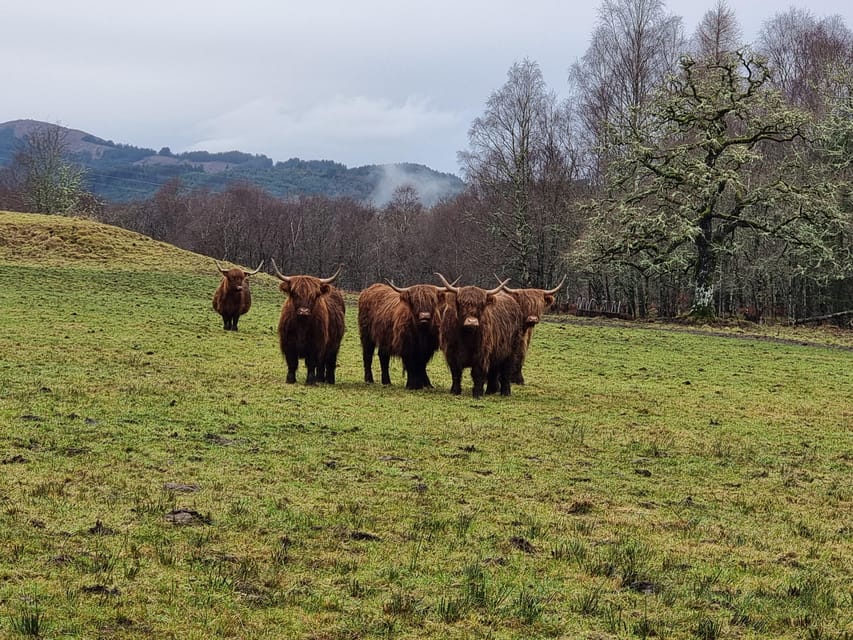 From Edinburgh: Loch Ness Private Day Tour with Transfers - Edinburgh Pickup to the Highlands Loop: How the Day Connects