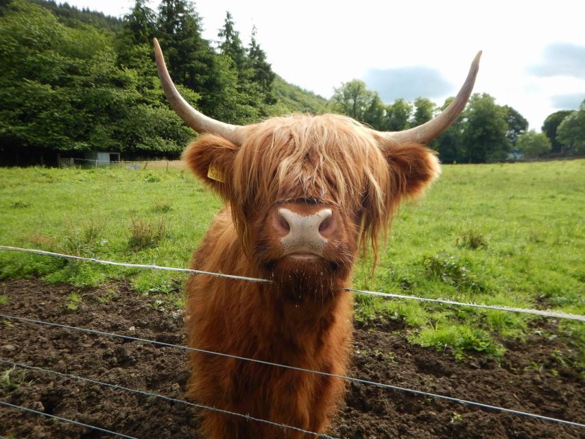 From Edinburgh: Orkney, Skye and the Far North 8 Day Tour - Day 8 Culloden and Pitlochry, your Jacobite ending