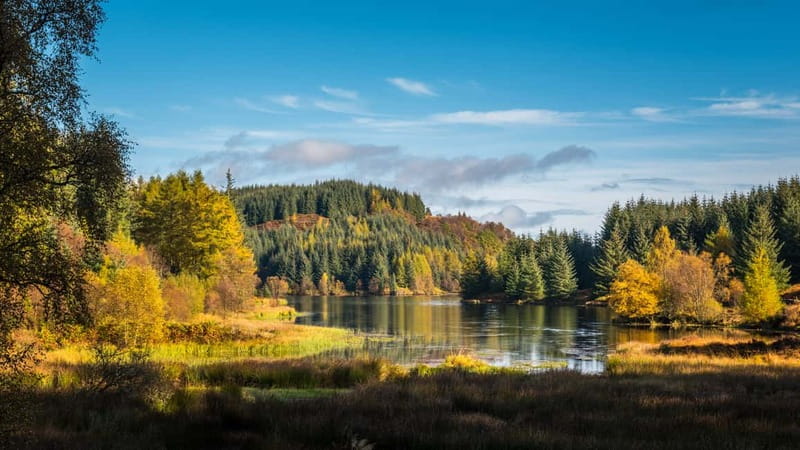 From Edinburgh: Stirling Castle, Kelpies and Loch Lomond - Optional hour-long Loch Lomond cruise: when it’s worth paying extra