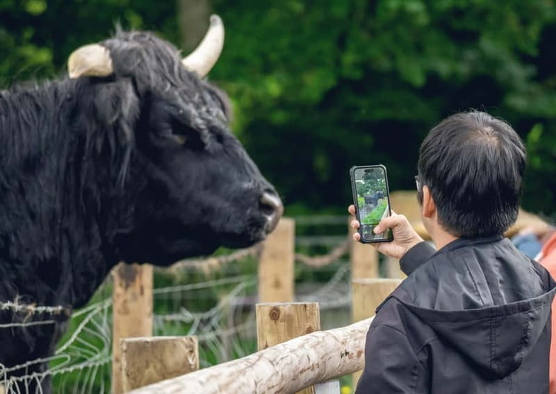 From Edinburgh: Stirling Castle, Kelpies and Loch Lomond - Price and value: what $61 gets you, and what costs extra