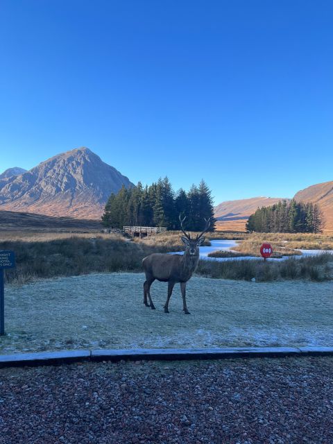 From Edinburgh: The Kelpies, Glencoe & Loch Lomond Day Tour - Key things I’d bank on before you go