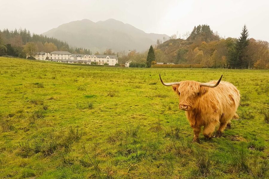 From Glasgow: Loch Lomond, Trossachs & Stirling Castle Tour - Stirling Castle on volcanic rock: views, royal names, and real time inside