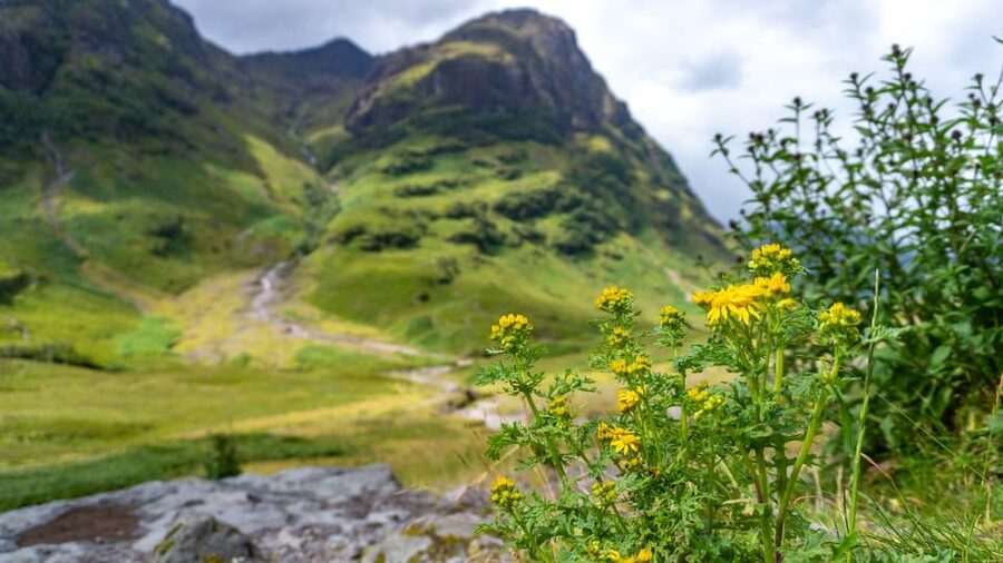 From Glasgow: Loch Ness, Glencoe and Scottish Highlands Trip - Pitlochry break: a reset that helps the long drive feel humane