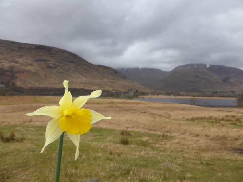 From Glasgow: Scottish Highlands & Isle of Skye 5-Day Tour - Day 5: Culloden option, Cairngorms pass, Pitlochry time, and back to Glasgow
