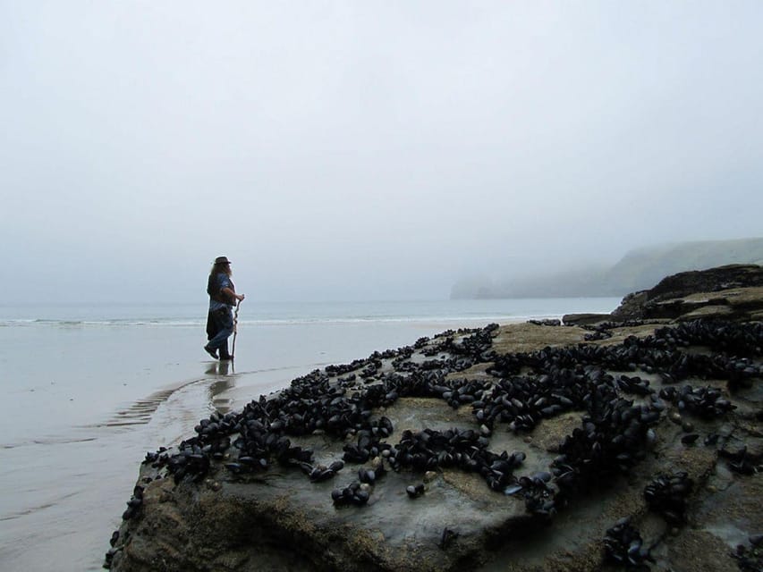 From Glastonbury: 2-Day Tintagel, Boscastle & Dartmoor Tour - Merlin’s Cave at low tide, plus a guided visualization