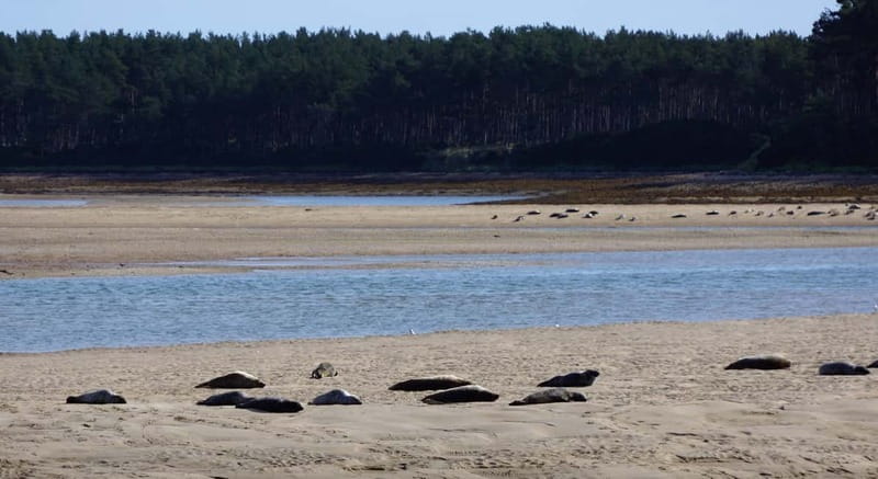 From Invergordon: Private Northern Highlands Shore Excursion - Getting from your ship to the tour van, without stress