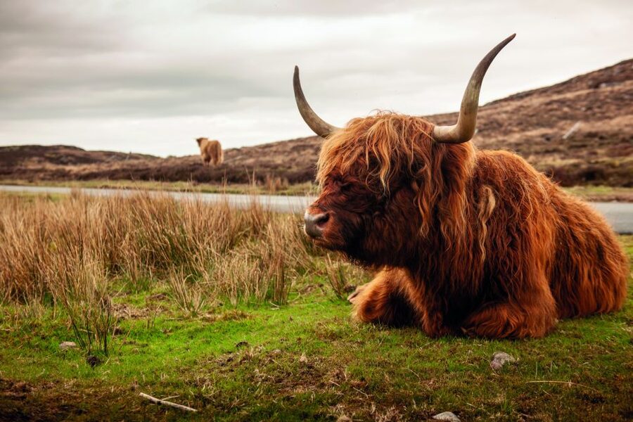 From Inverness: 3-Day Orkney Explorer - Price and value: what $624 covers, and what it doesn’t