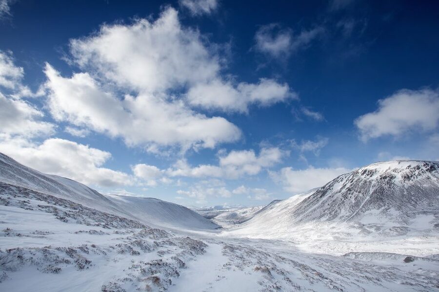 From Inverness: Cairngorms National Park and Whisky Tour - Key highlights to look forward to