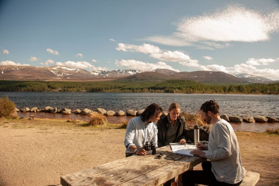 From Inverness: Cairngorms National Park and Whisky Tour - From Inverness to Cairngorm country, the drive sets the tone